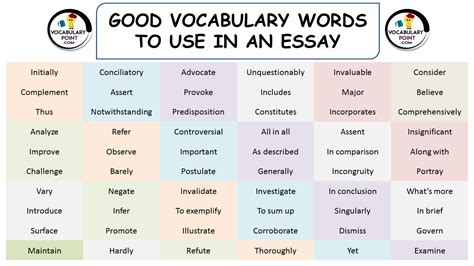 What Are Some Good Words to Use in an Essay? Insightful Vocabulary for Writing Excellence